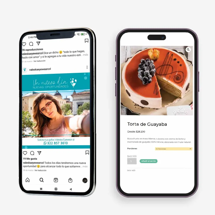 Web And Social Media Content project developed by Digitalli