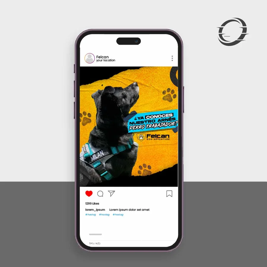 Web And Social Media Content project developed by Digitalli